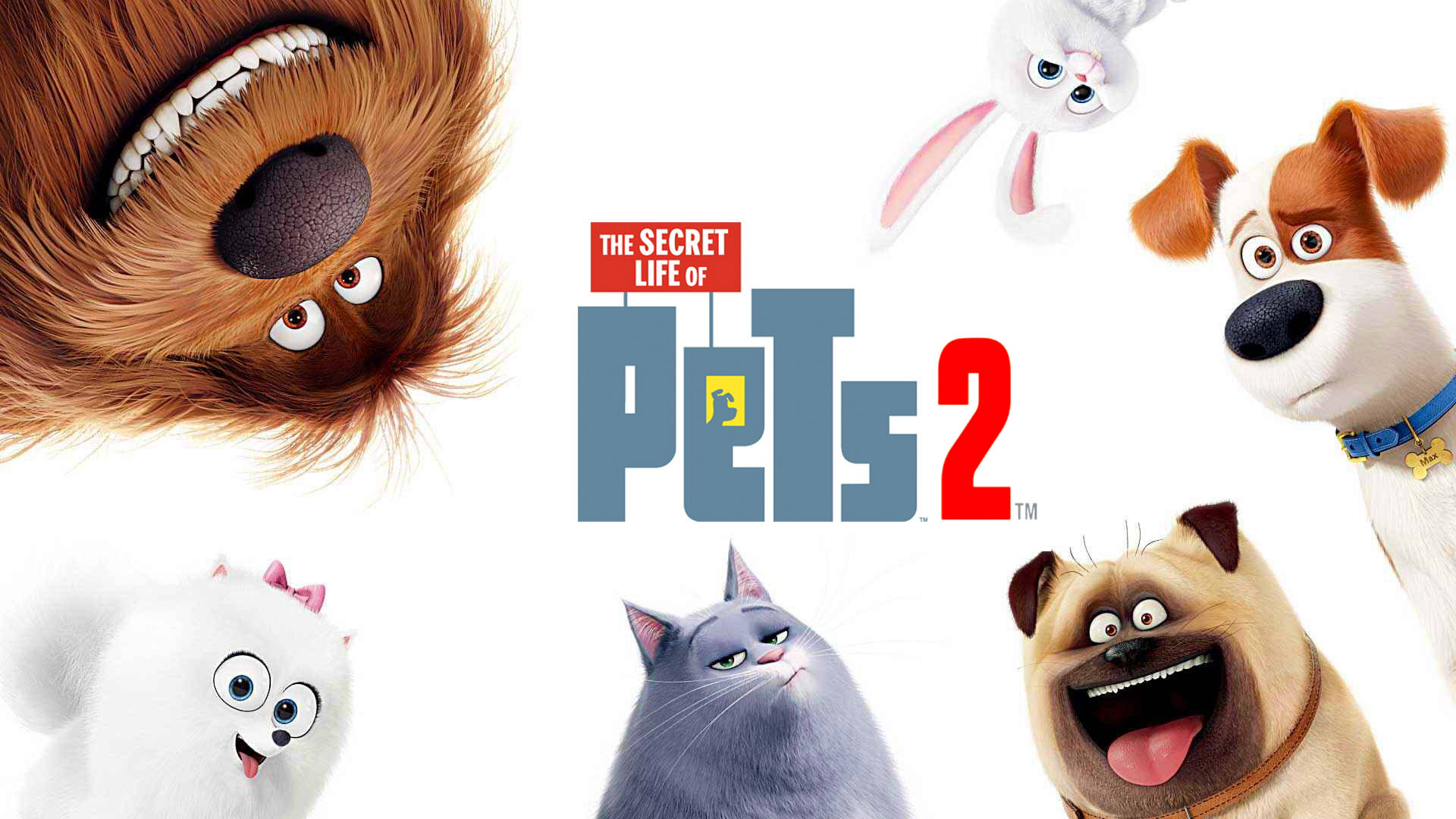 The Secret Life of Pets 2 – cum a fost dublat în română